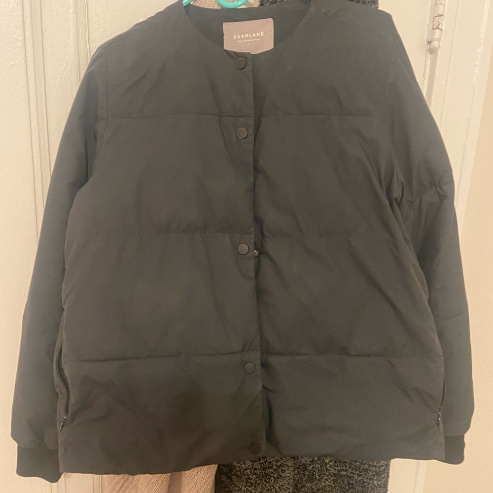 Everlane Blue Puffer Jacket
